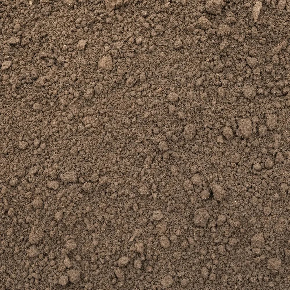 Top Soil - Image 3