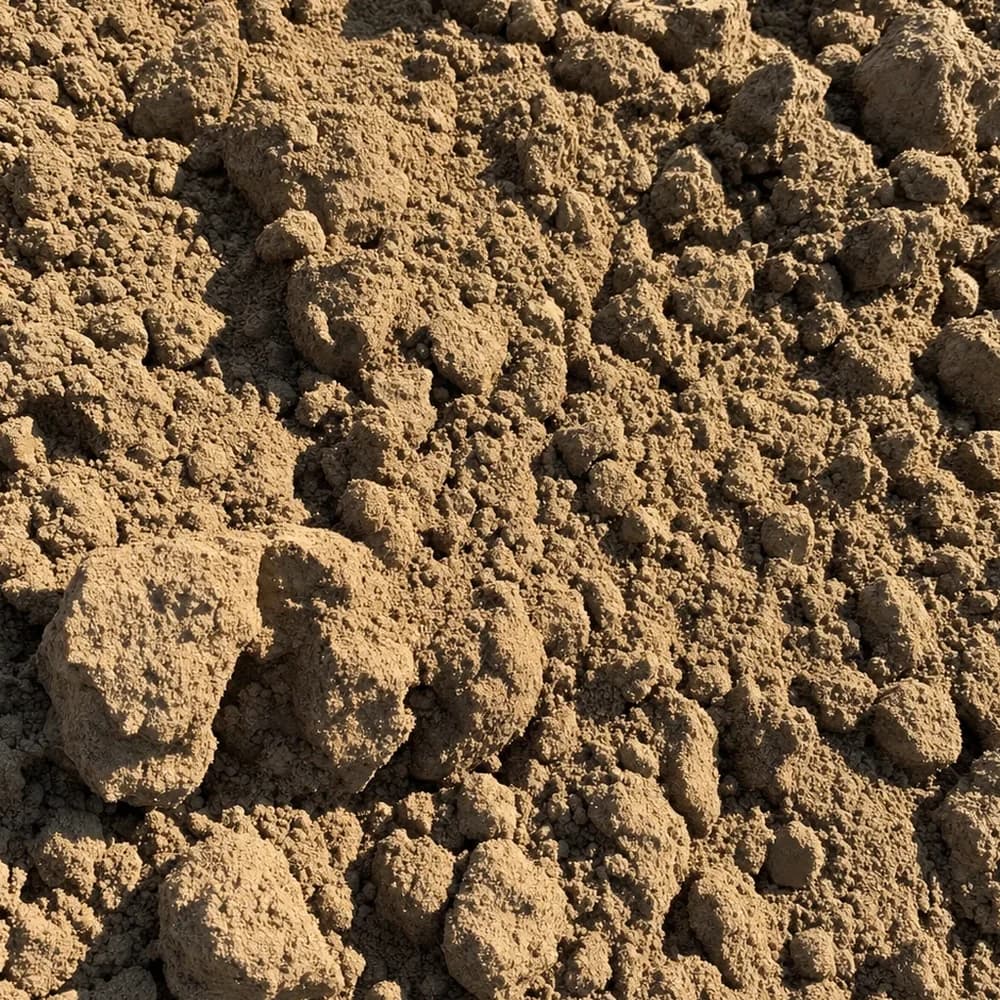 Fill Dirt