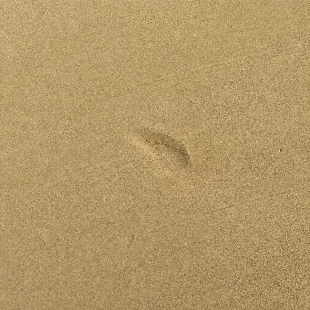 Mason Sand