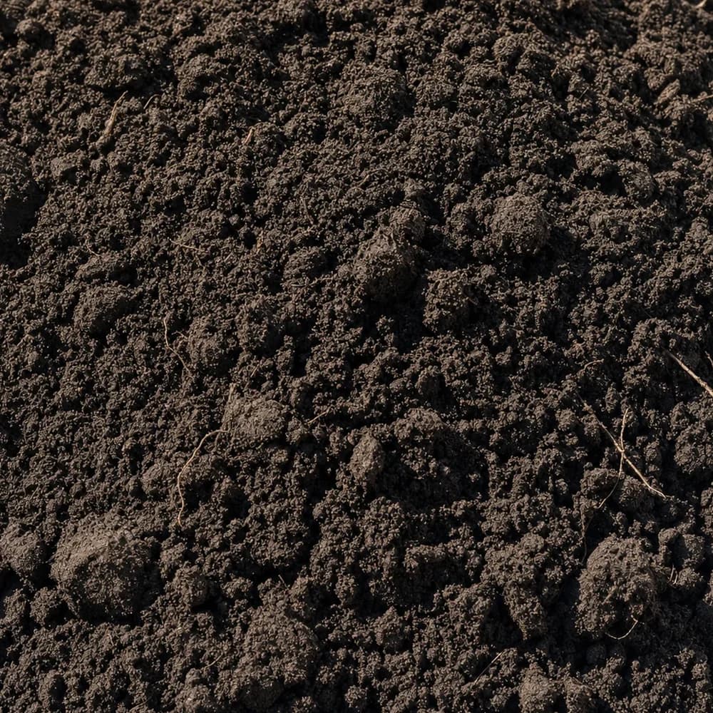 Top Soil